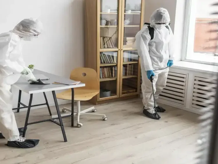 Effective mold remediation