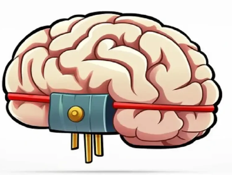 clipart:ee-zgj_h1oc= brain